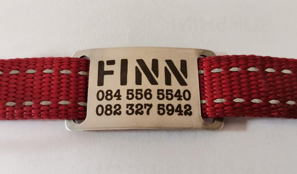 collar tag on collar